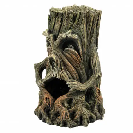 Produit De Marque Aqua Della Arbre visage 1