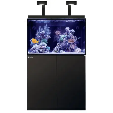Bon Plan Max® E 260 LED – 2 ReefLED 90 avec Wifi – Noir