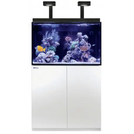 Meilleur Prix Max® E 260 LED – 2 ReefLED 90 avec Wifi – Blanc