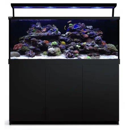 Meilleur Prix Max® S-650 LED – 4 ReefLED 90 avec Wifi – Noir