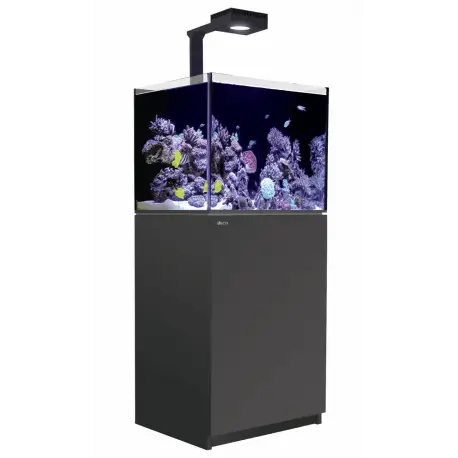 Remise Systèmes Red Sea REEFER™ G2+