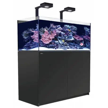 Seulement Aujourd&rsquo;hui Systèmes Red Sea REEFER™ G2+