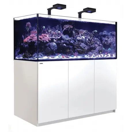 Jusqu&rsquo;à Épuisement Des Stocks Systèmes Red Sea REEFER™ G2+