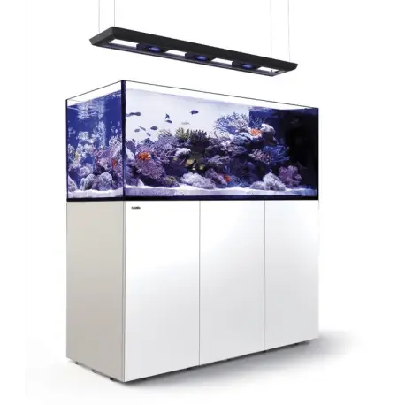 Systèmes Red Sea REEFER™ Peninsula G2+ Certifié