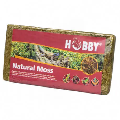 Prix Réduit Hobby Natural Moss