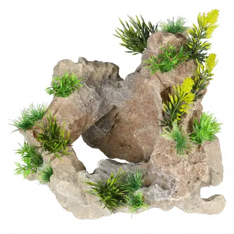 Offre Limitée AQUA DELLA GREEN LIMESTONE