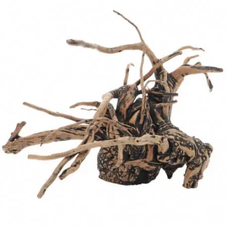 Haute Qualité Hobby Fingerwood Shadow L – Racine naturelle