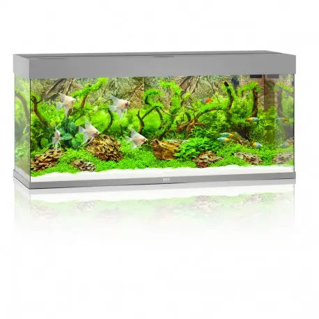 Juwel Aquarium Rio 240 LED Gris Soldes