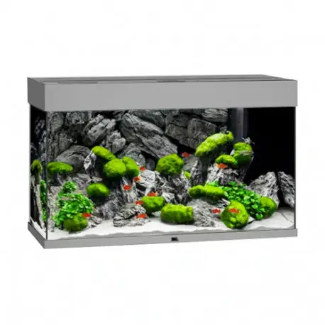 Juwel Aquarium Rio 125 LED Gris Must-Have