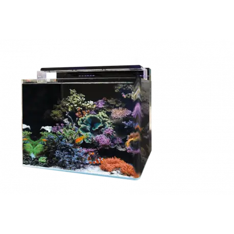 Prix Cassé BLUE MARINE REEF 120 AQUARIUM