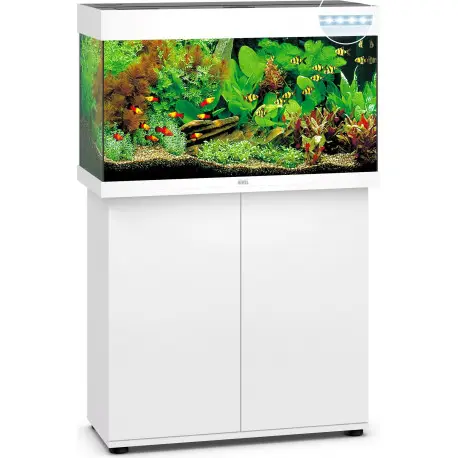 Commande En Gros JUWEL Ensemble complet Aquarium + Meuble Rio 125 LED Blanc