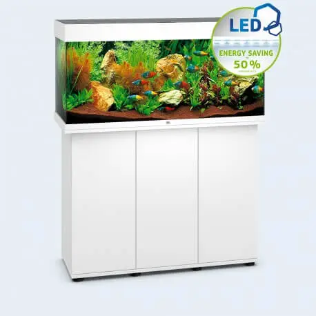 JUWEL Ensemble complet Aquarium + Meuble Rio 180 LED Blanc Prix Cassé