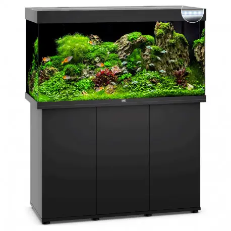 Meilleur Choix JUWEL Ensemble complet Aquarium + Meuble Rio 350 LED Noir