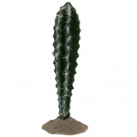 Dernier Modèle AQUA DELLA Cactus cylindrique