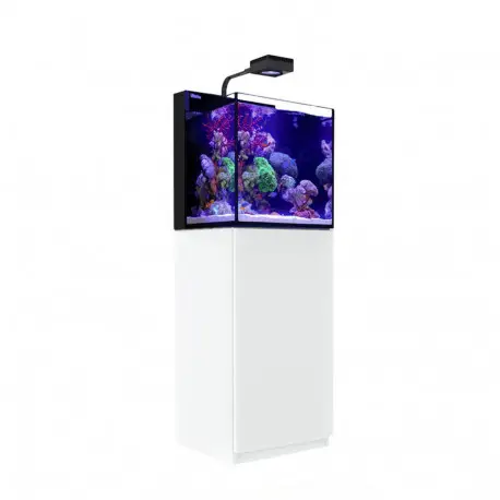 Systèmes Red Sea MAX NANO G2 CUBE Seulement Aujourd&rsquo;hui