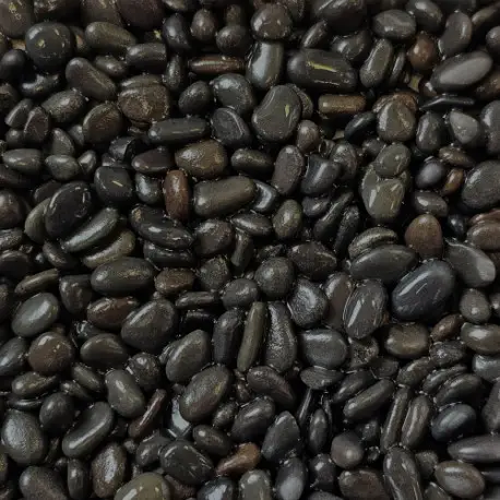 Acheter En Ligne Dupla Ground Nature Black Pebbles Mini 5kg – Galets Noirs pour Aquarium