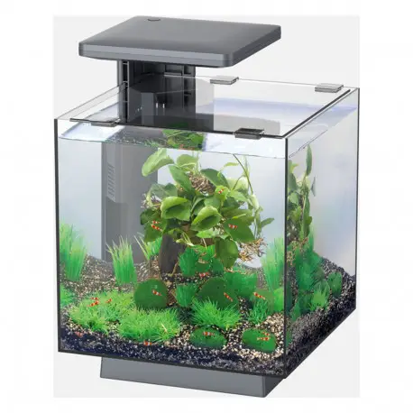 SUPERFISH QUBIQ 15 LED Noir -Aquarium équipé Meilleur Choix