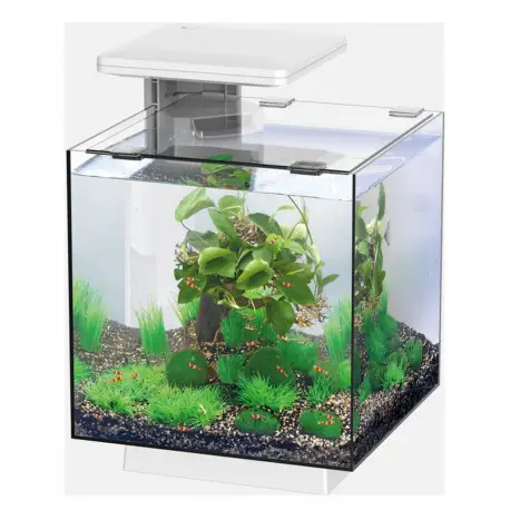 SUPERFISH QUBIQ 15 LED Blanc -Aquarium équipé Achetez Aujourd&rsquo;hui