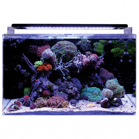 BLUE MARINE REEF 160 AQUARIUM – Aquarium récifal équipé Commander Vite