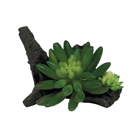 Livraison Express REPTO Plante Succulente sur Déco – Plante artificielle