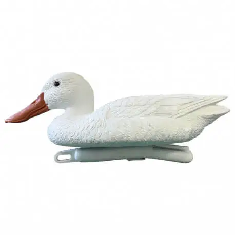 Vente Flash SUPERFISH Canard Blanc – Décoration bassin