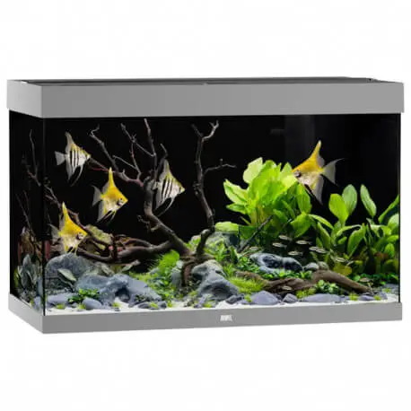 Meilleur Prix Juwel Aquarium Rio 290 LED Gris – Aquarium équipé
