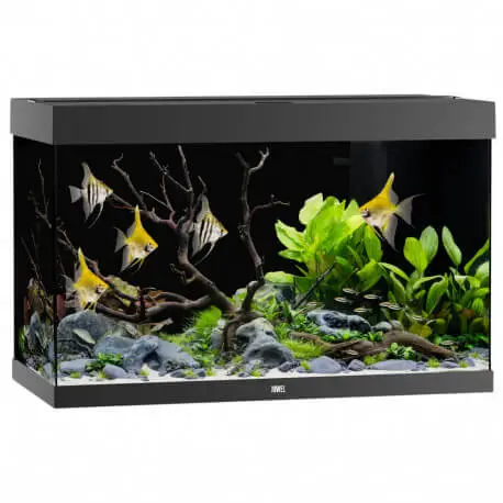 Juwel Aquarium Rio 290 LED Noir – Aquarium équipé Satisfait Ou Remboursé
