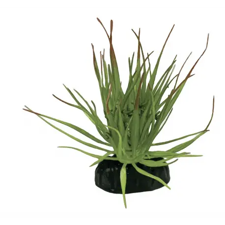 Vente Flash REPTO Plante Tillandsia Ion – Plante artificielle Terrarium