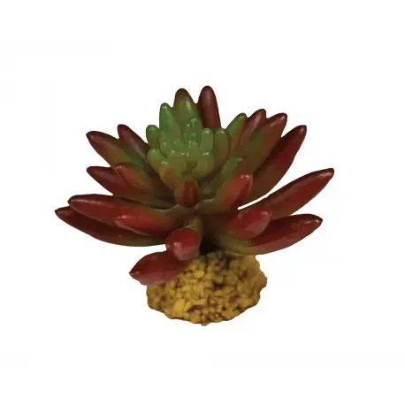 REPTO Plante Succulente Red – Plante artificielle Terrarium Offre Exclusive
