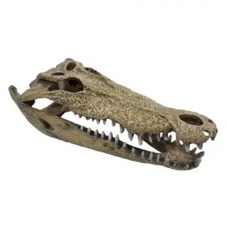 REPTO Deco Crocodile XXL – Décoration reptiles Vente Directe