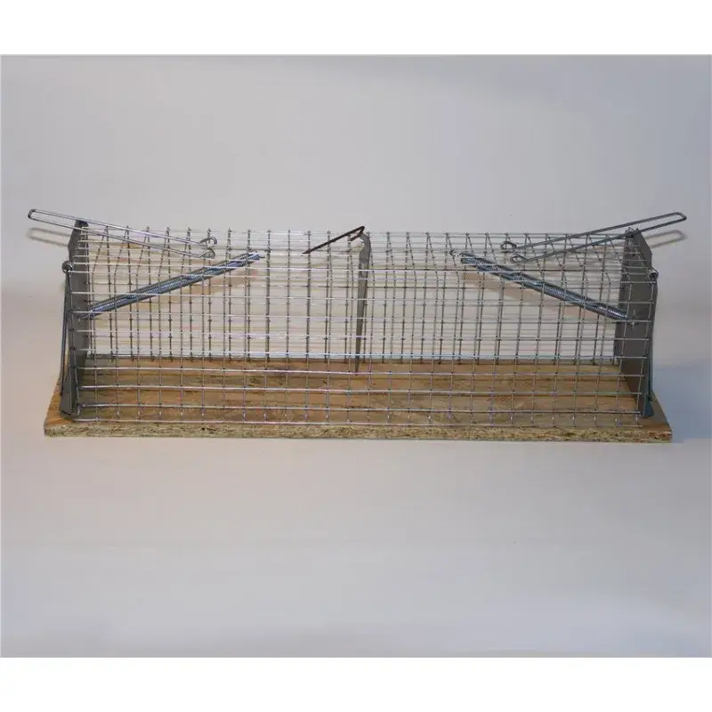 Piège à Rats Mécanique – Dim : 39 x 12 x h 10.5 cm Offre Du Jour