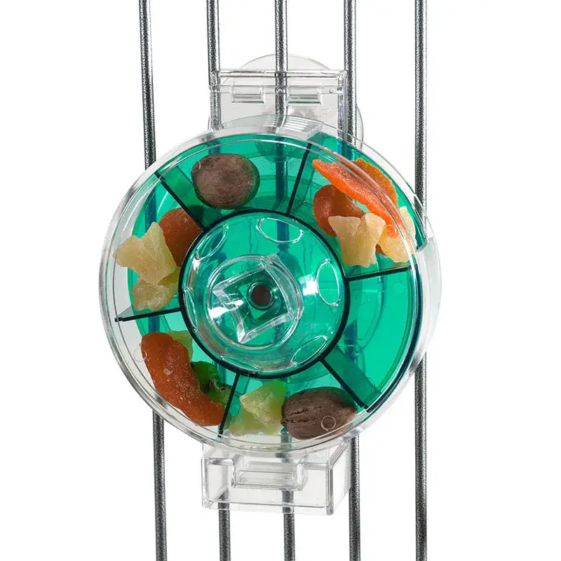 Roue de Foraging V2 Large – Distributeur Alimentaire pour Perroquet Livraison Express