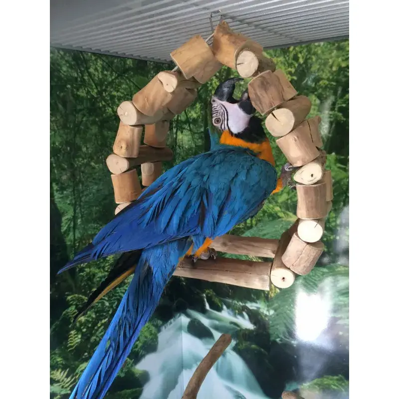Bon Marché Roue de Java Large – Jouet Grand Perroquet
