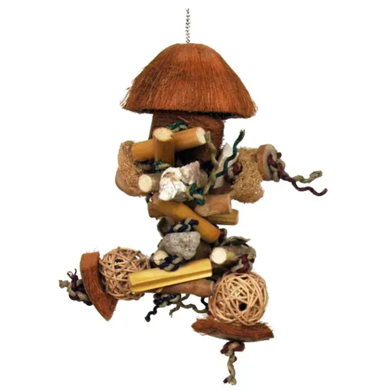Petit Coconut – Jouet Perroquet Offre Du Jour