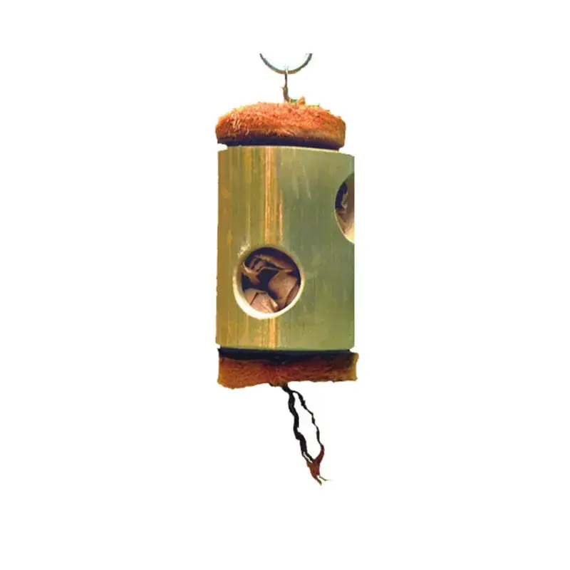Livraison Express Petit Bambou – Jouet Perroquet