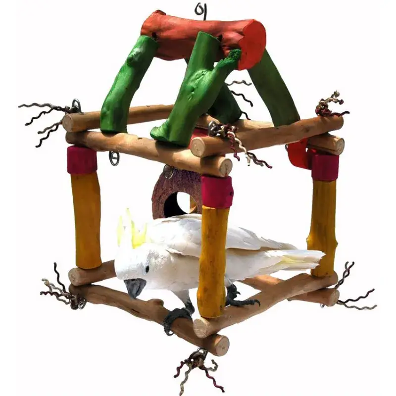 Cube Java Jumbo – Aire de Jeu Suspendue Grand Perroquet Produit De Marque