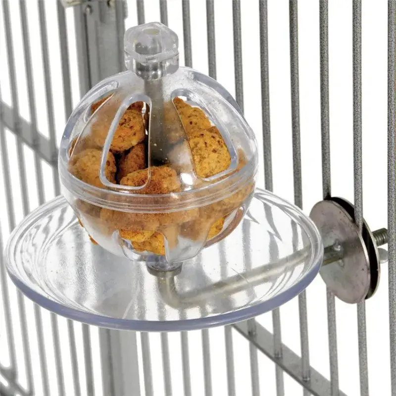 Buffet Ball – Distributeur Alimentaire pour Perroquet Offre Exclusive