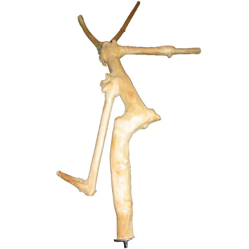 Branche en Bois de Java pour Oiseaux – Mini Produit De Marque