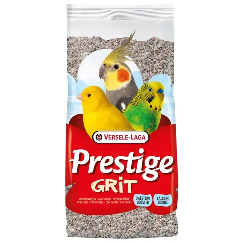 Grit avec Petit Corail – Mélange Minéral Marin Concassé – 2,5 kg Commander Maintenant
