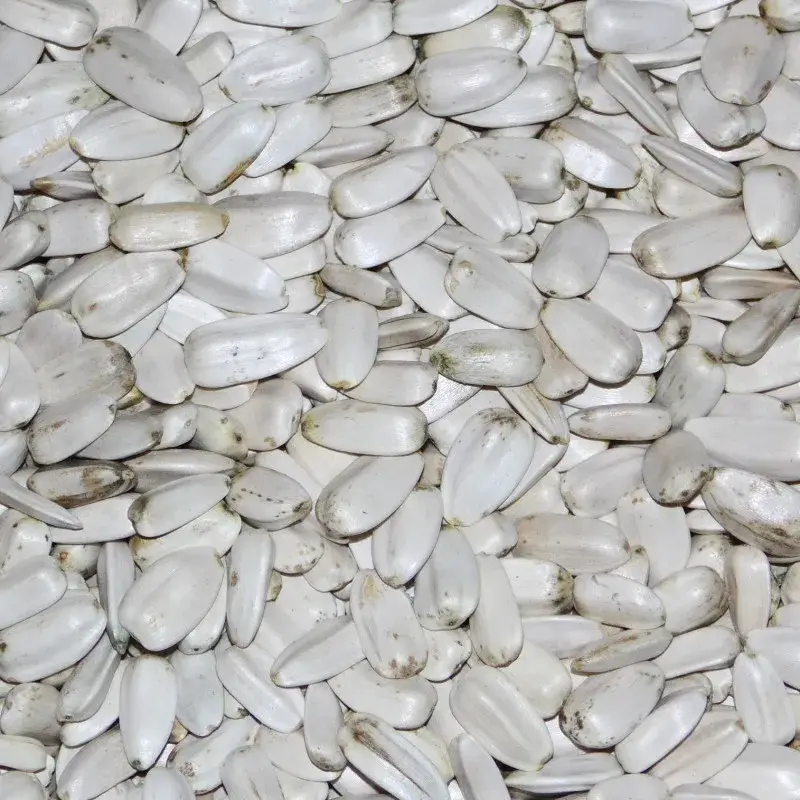 Affaire À Saisir Graines de Tournesol Blanc Versele Laga – 12,5 kg