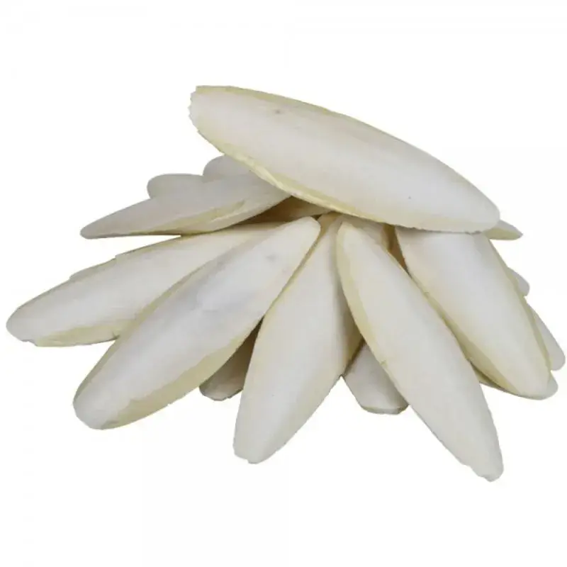 Acheter Direct Os de Seiche Petite Taille – 5 kg