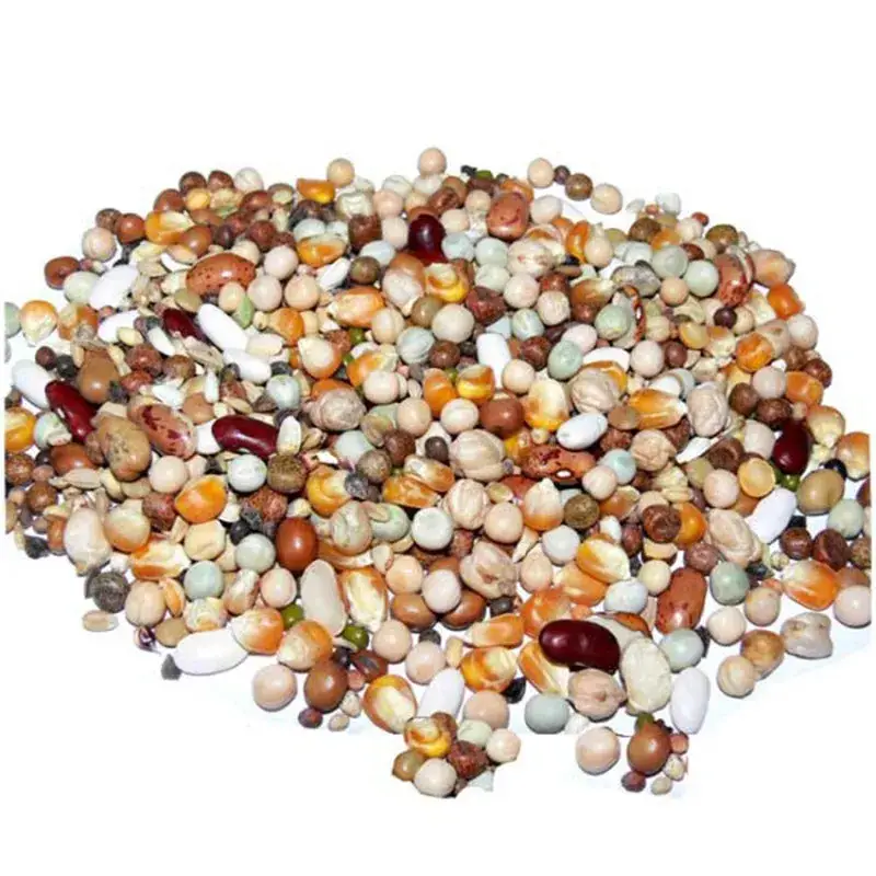 Achat Immédiat Versele Laga – Mélange de Graines à cuire Perroquet Dinner Mix – 20 kg