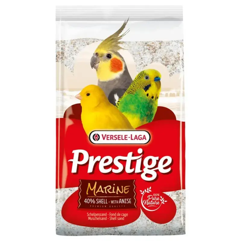 Commande En Gros Fond de Cage Marine 5 kg – Sable Blanc Anisé avec 40% d&rsquo;Écailles d&rsquo;Huîtres