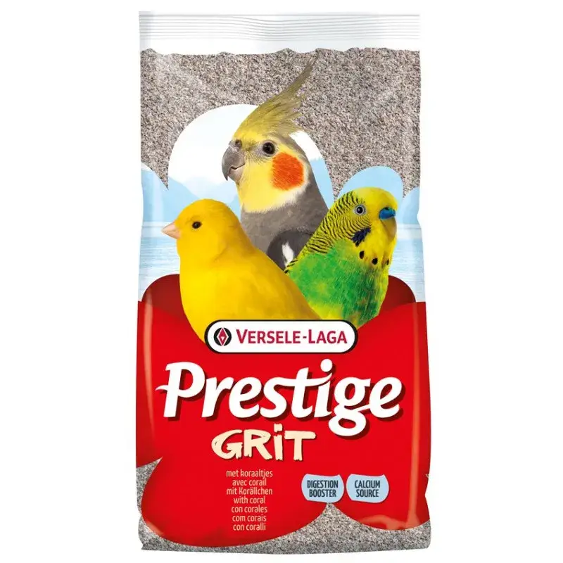 Grit avec Petit Corail – Mélange Minéral Marin Concassé – 20 kg Populaire