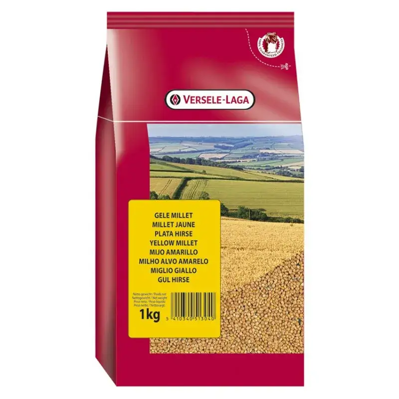 Certifié Graines de Millet Jaune – 1 kg