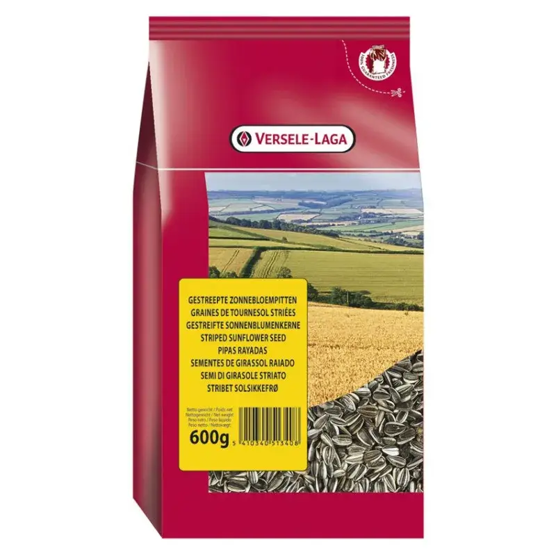 Graines de Tournesol Strié Nettoyées – 600 gr Retour Gratuit