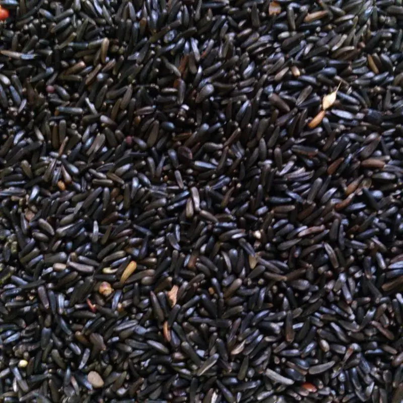 Graines de Niger – 20 kg Bon Marché
