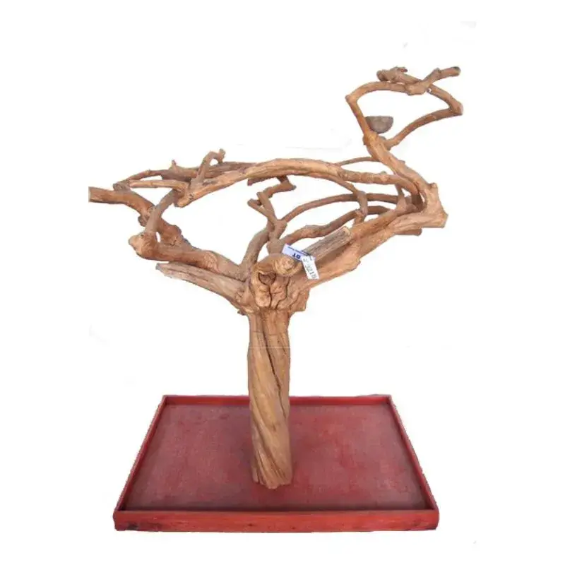 Prix Réduit Arbre en Bois Java – Taille Extra Large – AL3218