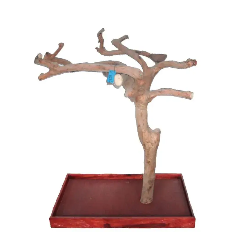 Arbre en Bois de Java – Taille Large – BL6243 Meilleure Vente