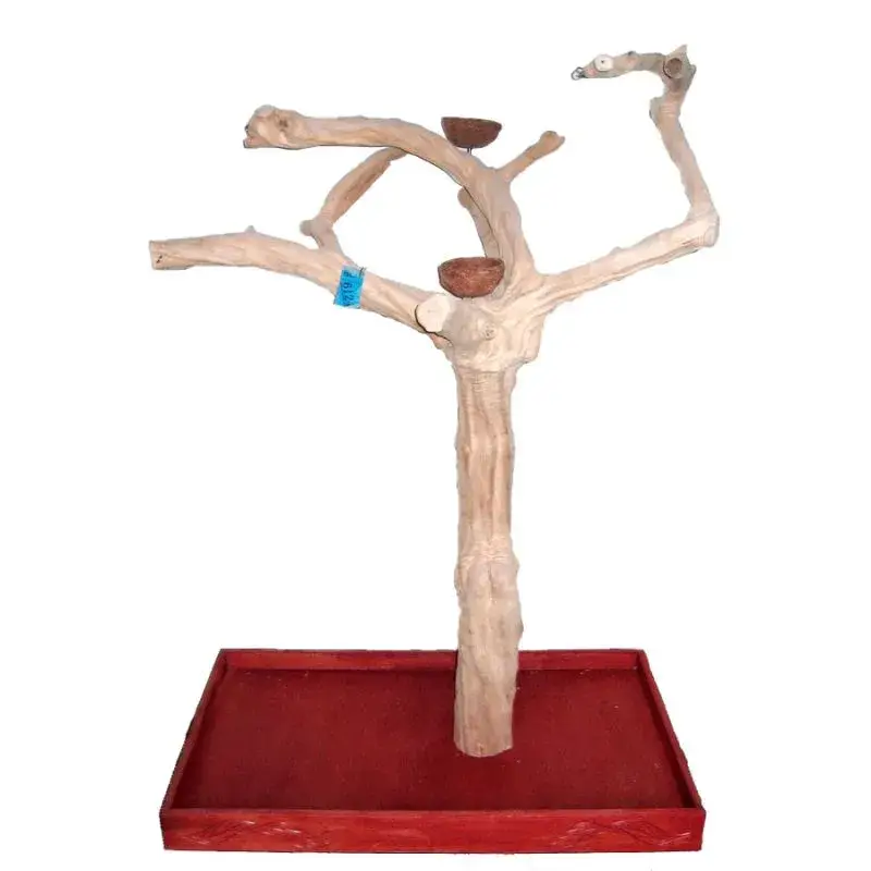 Quantité Limitée Arbre en Bois de Java – Taille Large – BL6124
